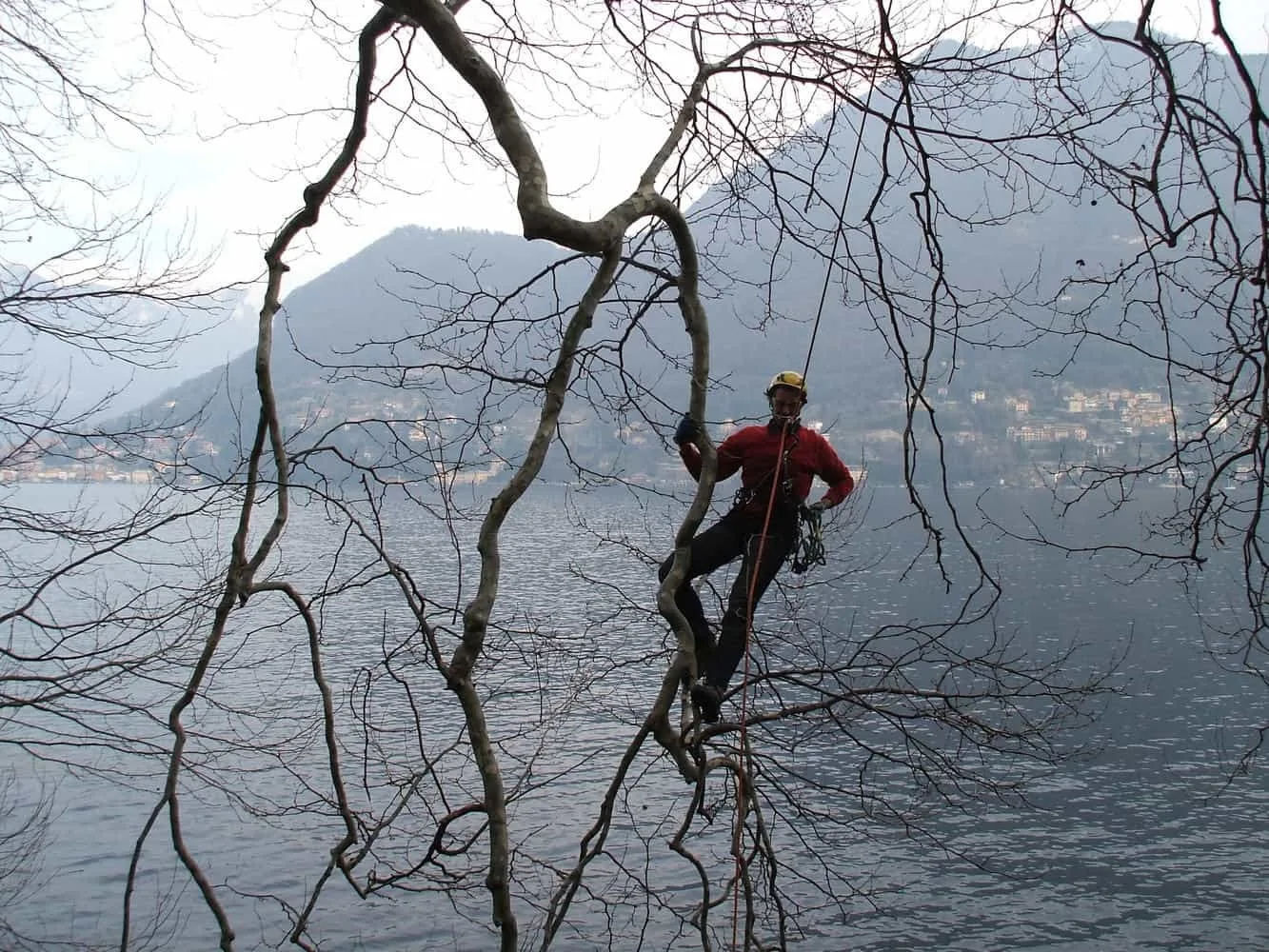 Consorzio sinergia verde